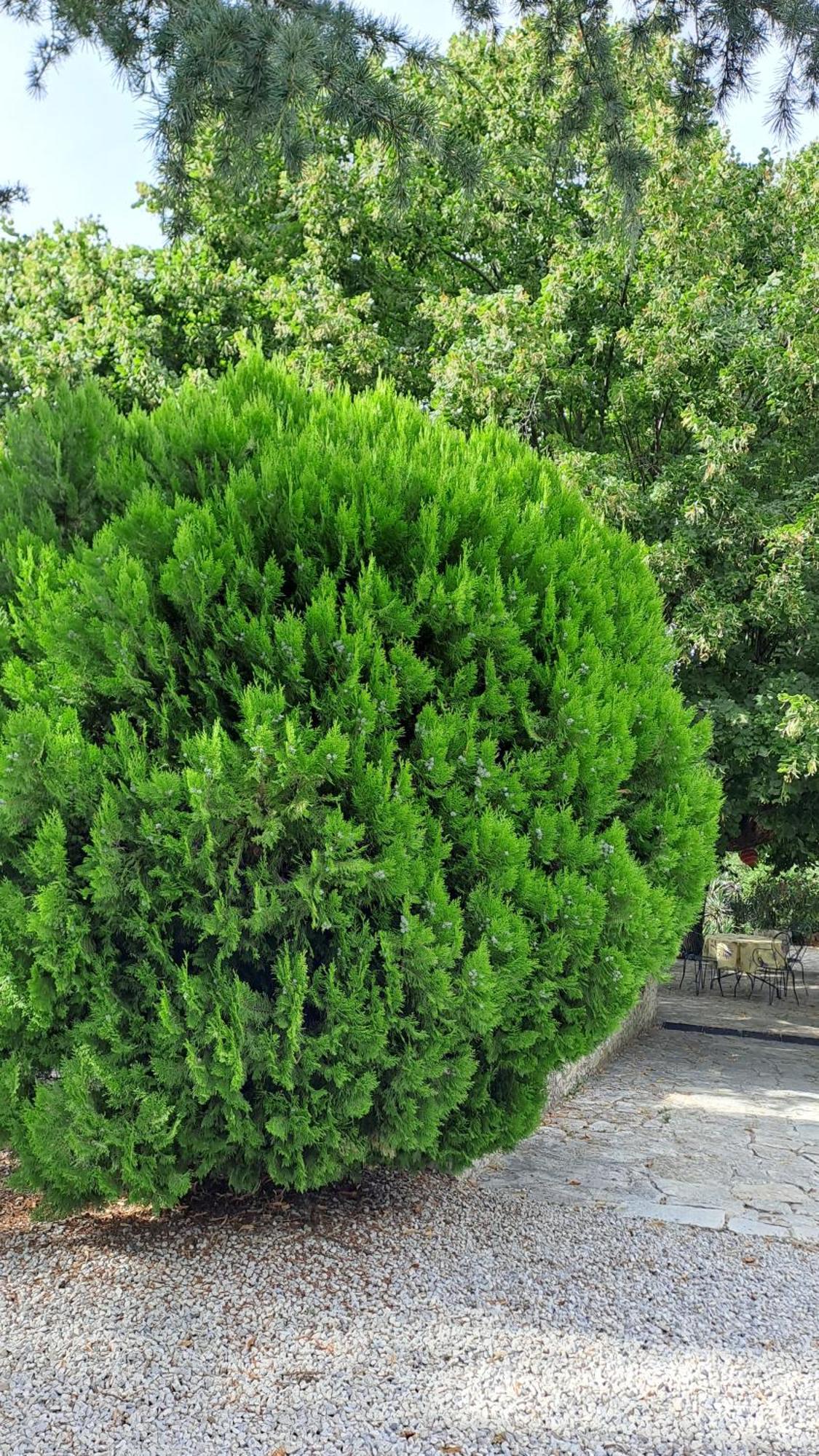 Le Gite Tilia Sablet Zewnętrze zdjęcie
